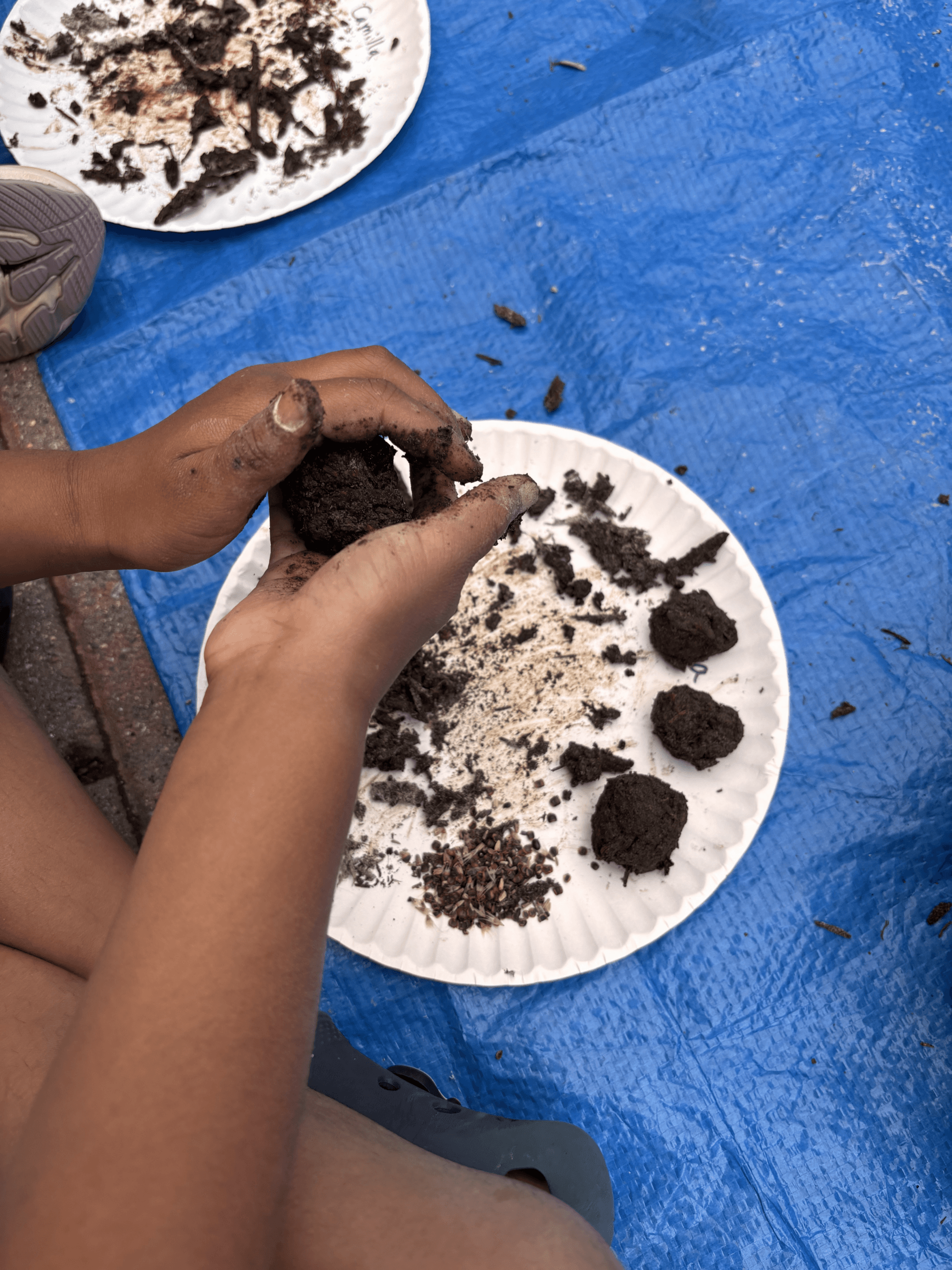 child making a seed ball